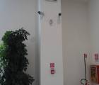 dsc02141_fileminimizer_.jpg